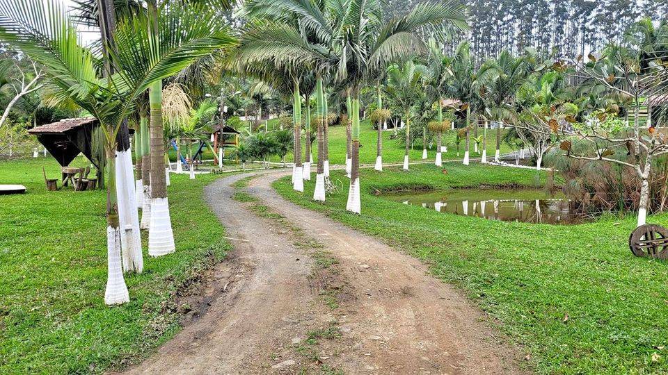 Fazenda à venda com 3 quartos, 80m² - Foto 25