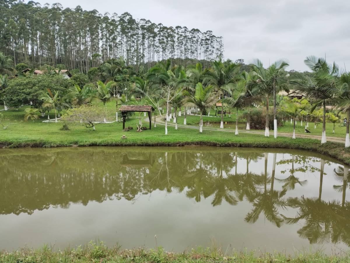 Fazenda à venda com 3 quartos, 80m² - Foto 26