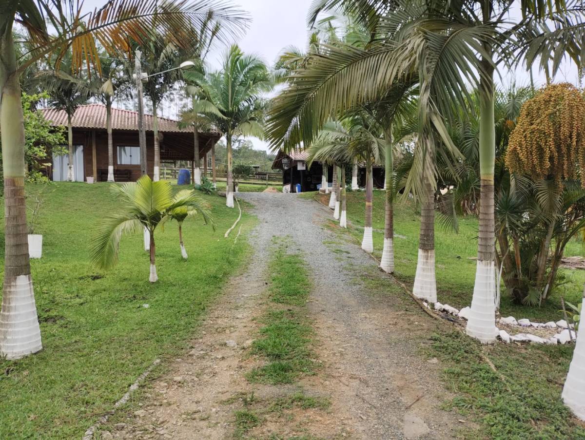 Fazenda à venda com 3 quartos, 80m² - Foto 1