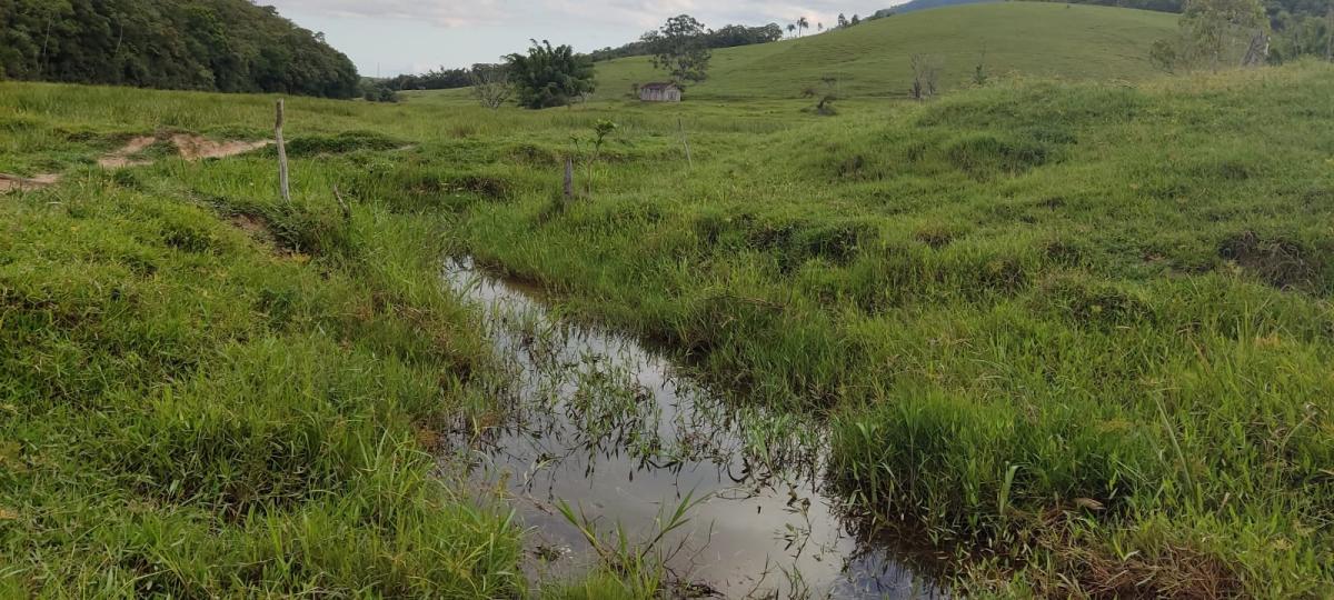 Terreno à venda - Foto 4