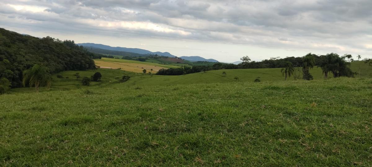 Terreno à venda - Foto 6