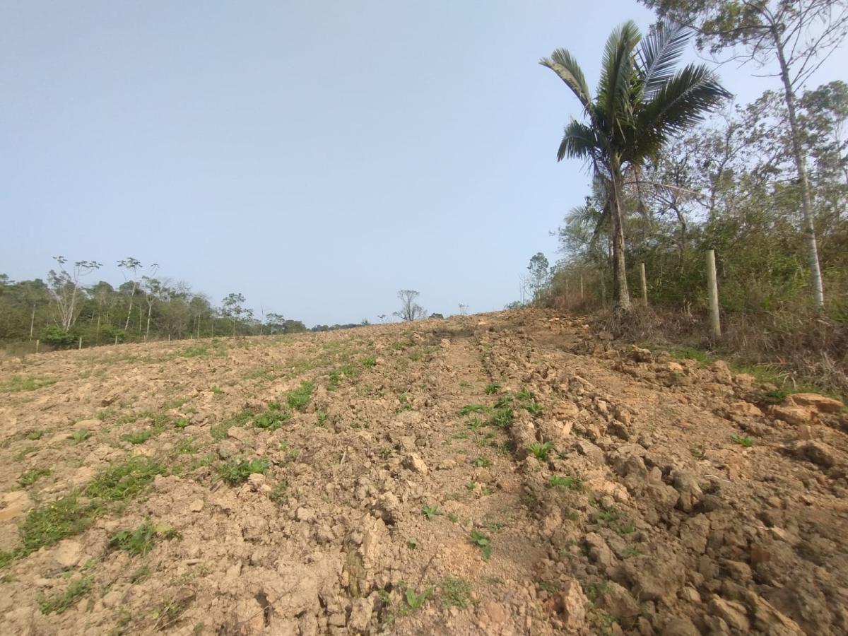 Terreno à venda - Foto 7