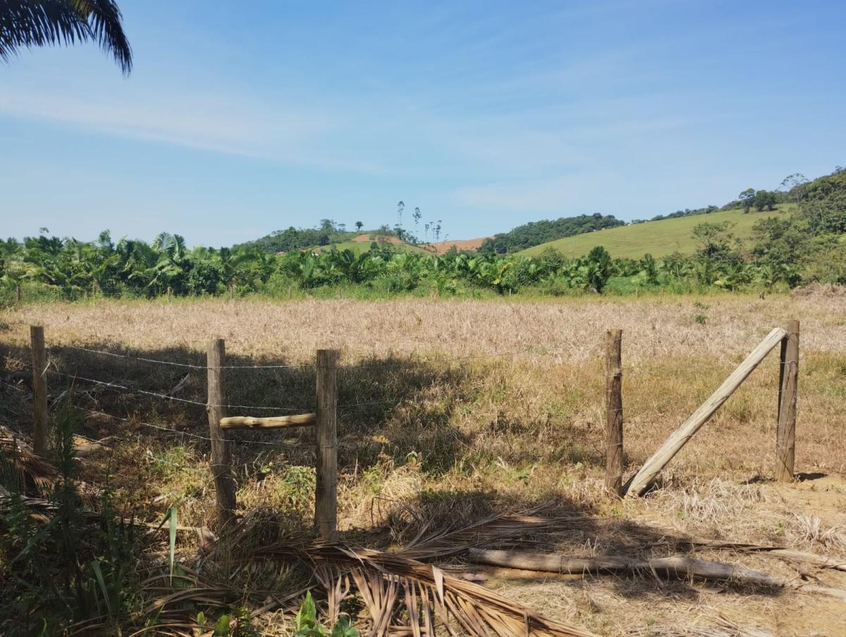 Terreno à venda - Foto 4