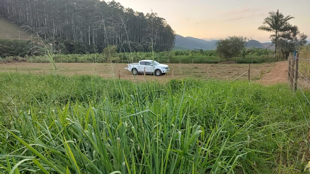 Terreno à venda - Foto 6